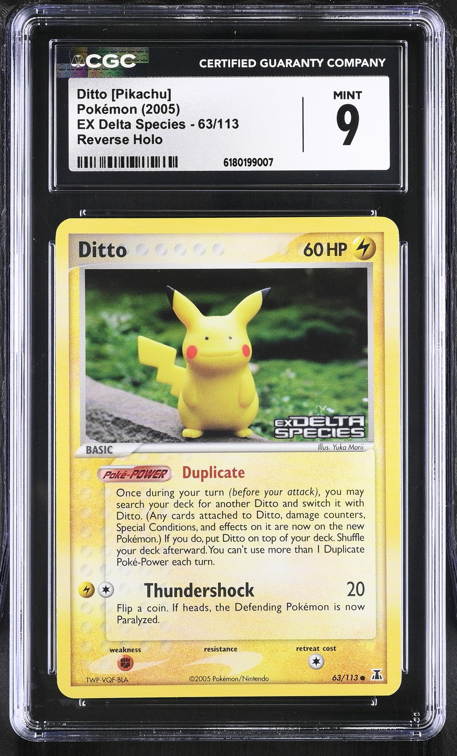 Ditto [Pikachu]