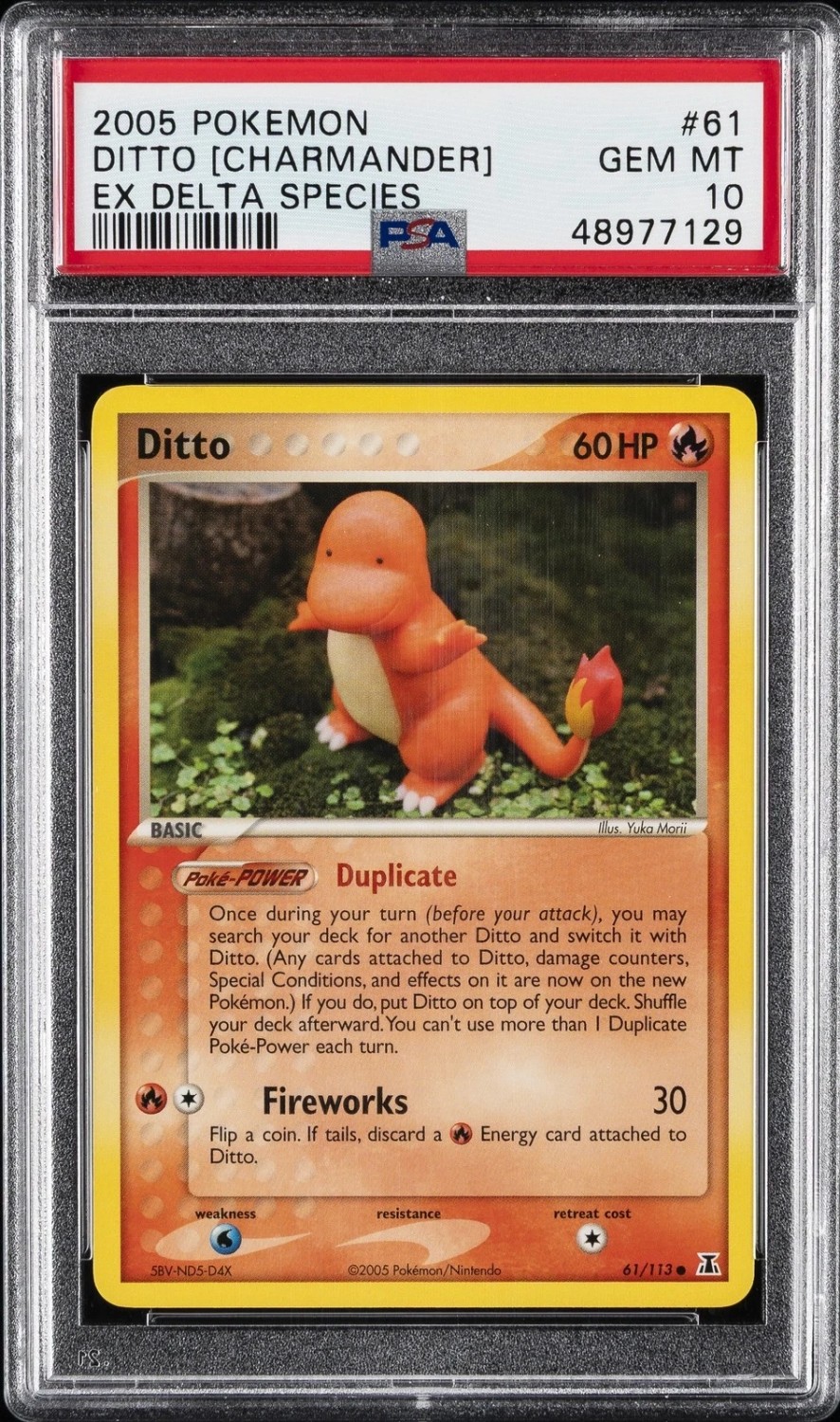 Ditto [Charmander]