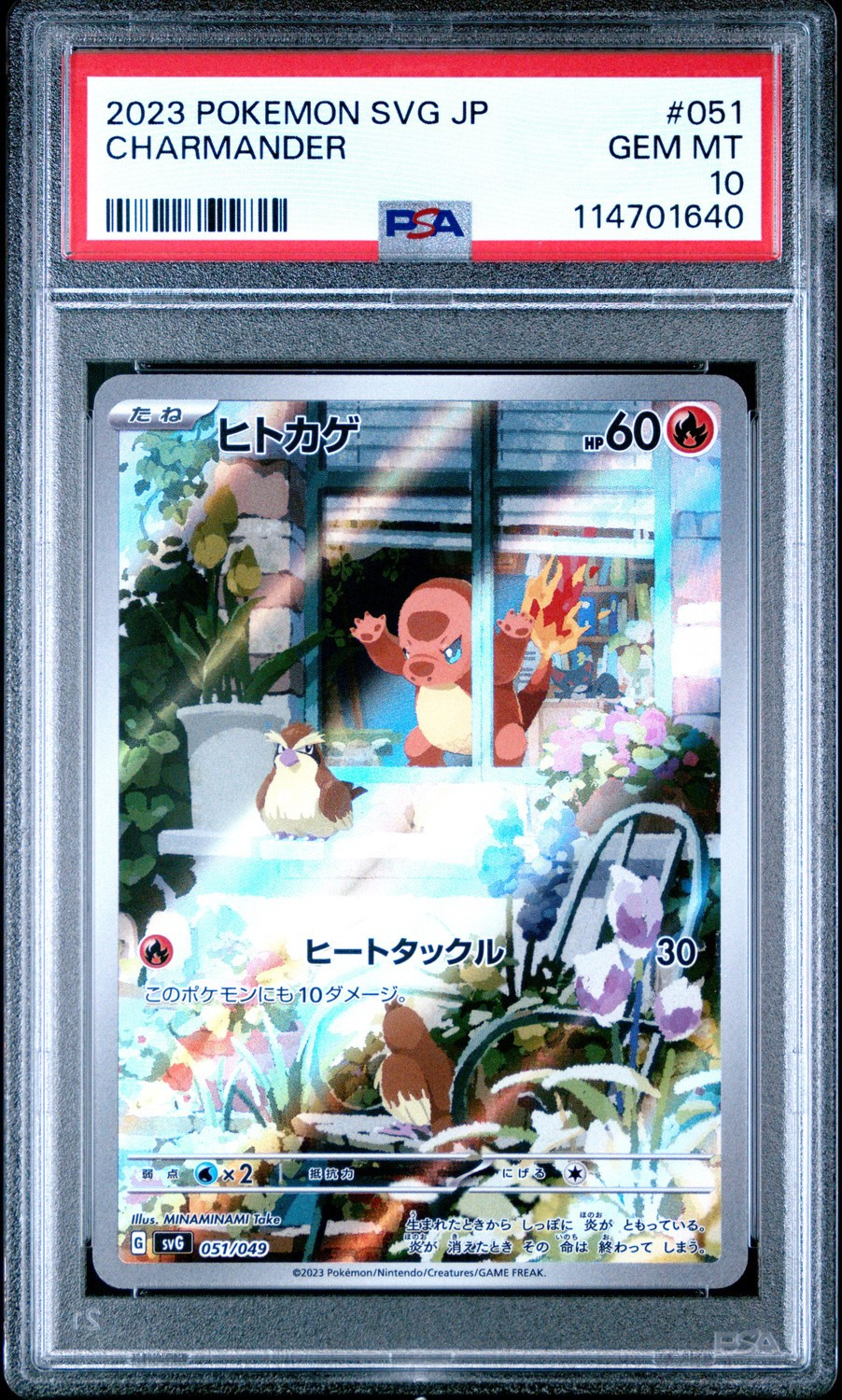 CHARMANDER