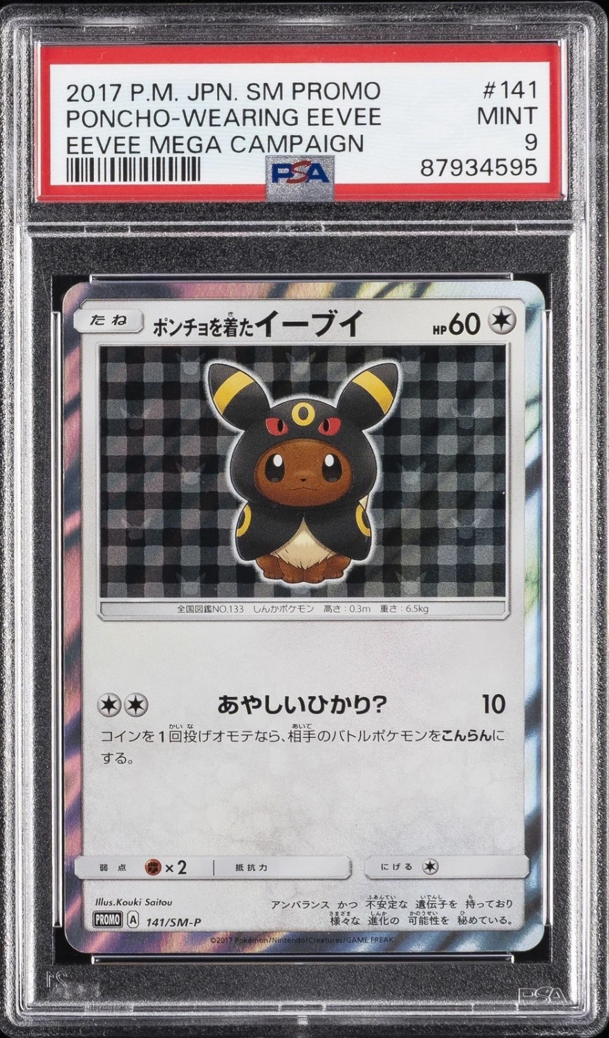 Poncho-Wearing Eevee