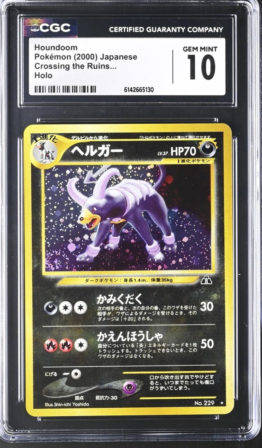 Houndoom