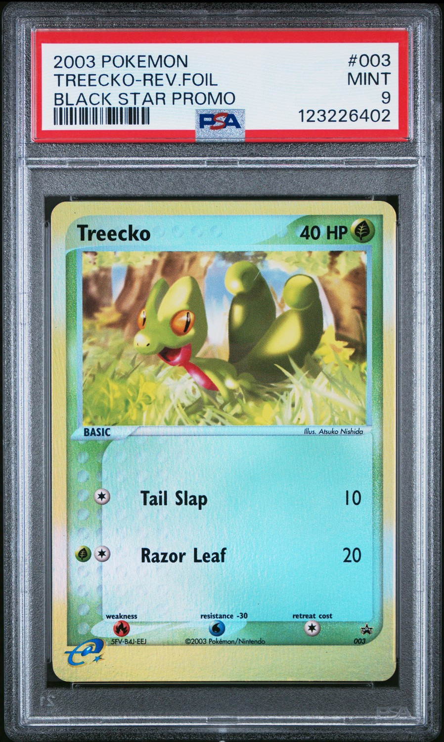 Treecko
