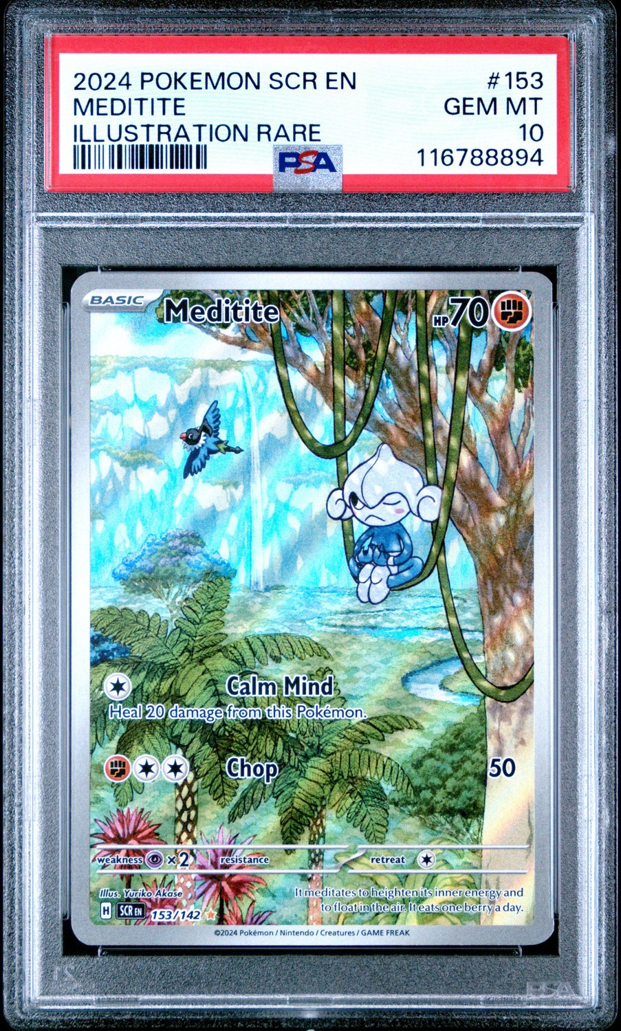 Meditite