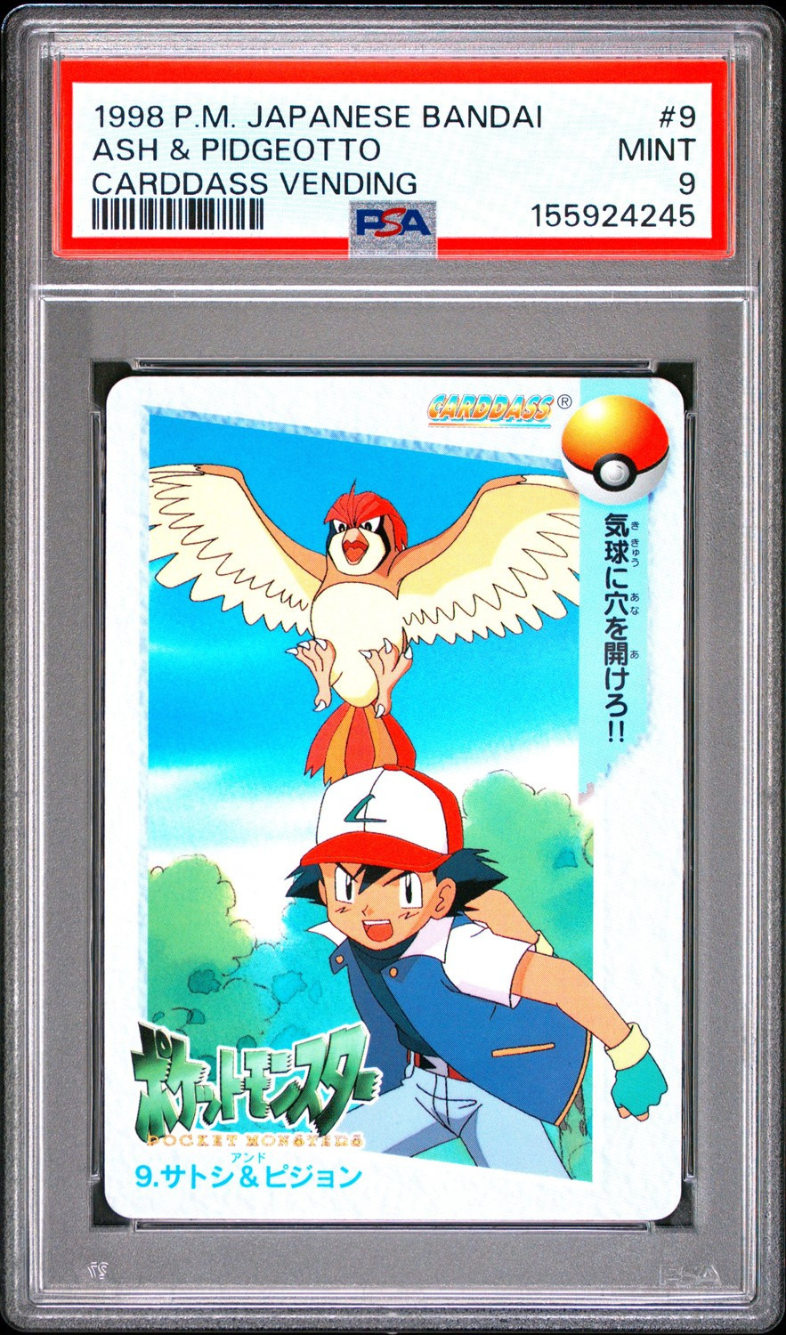 Ash & Pidgeotto