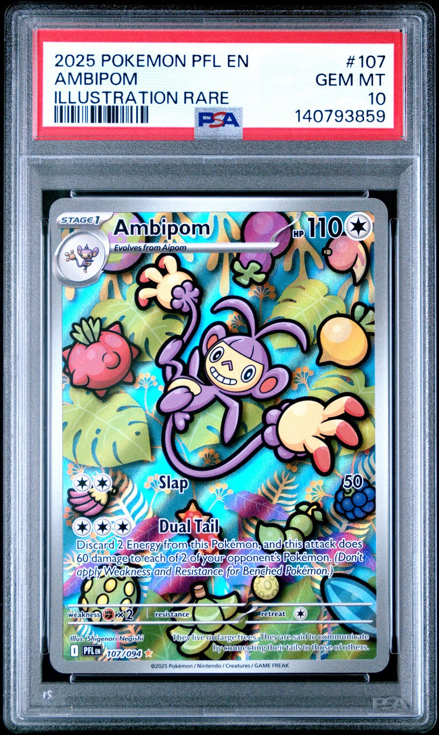 AMBIPOM