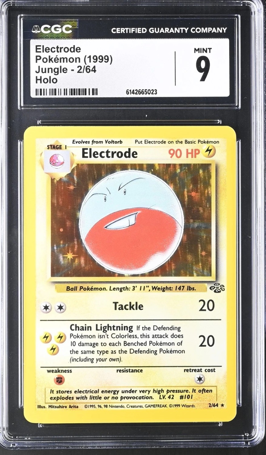 Holo