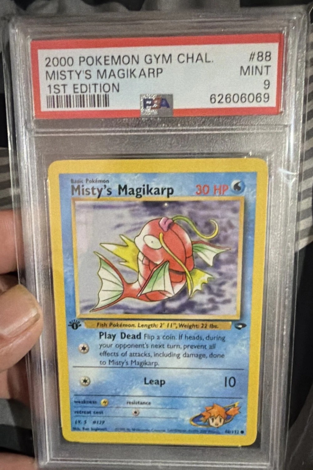Misty's Magikarp