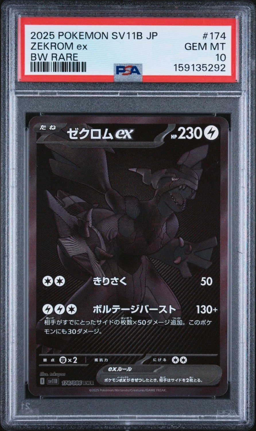 ZEKROM ex