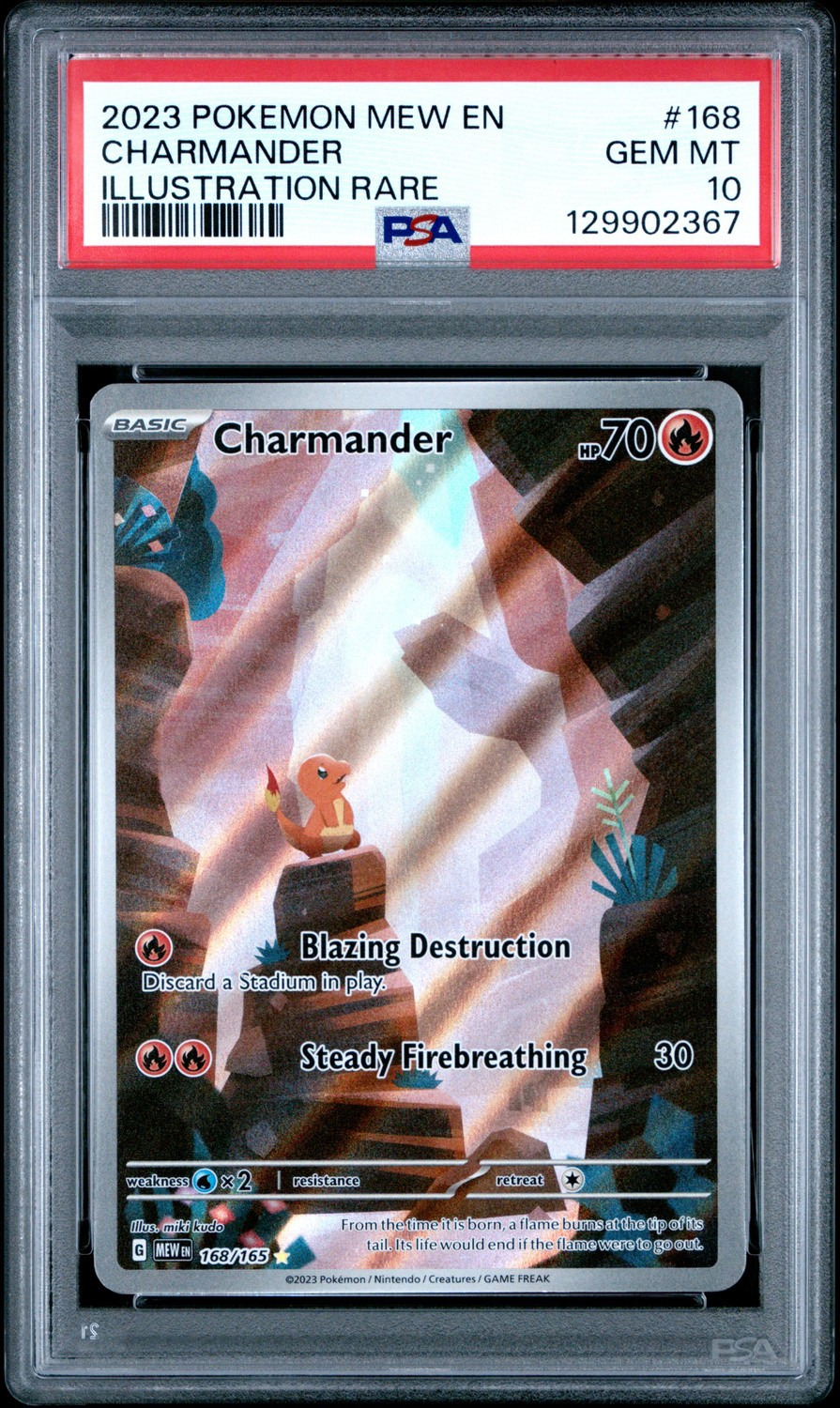 CHARMANDER