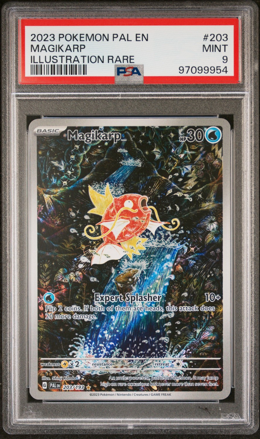 Magikarp