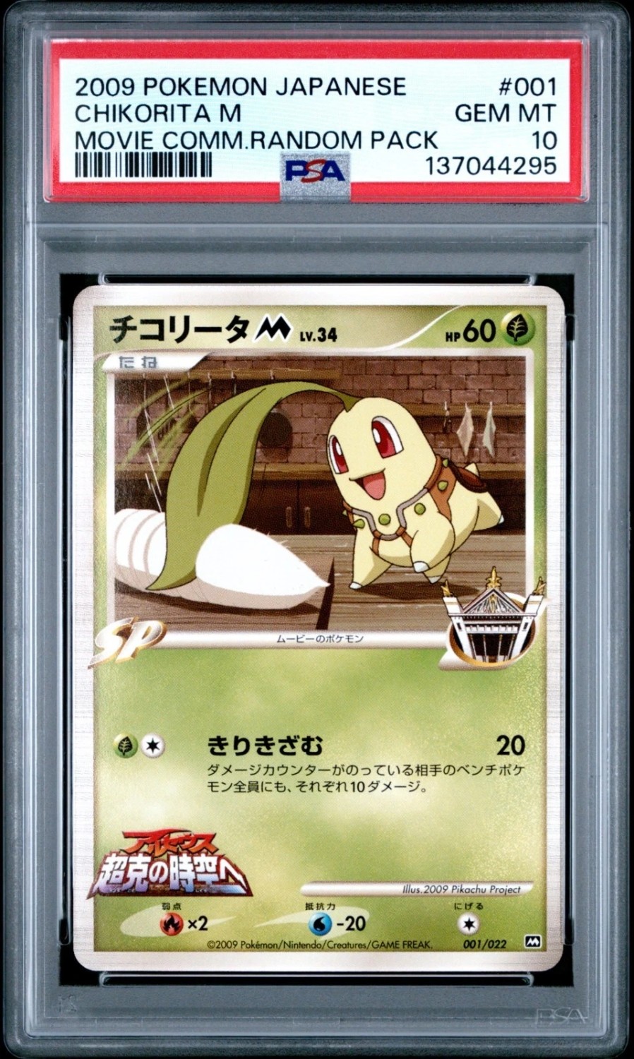Chikorita M
