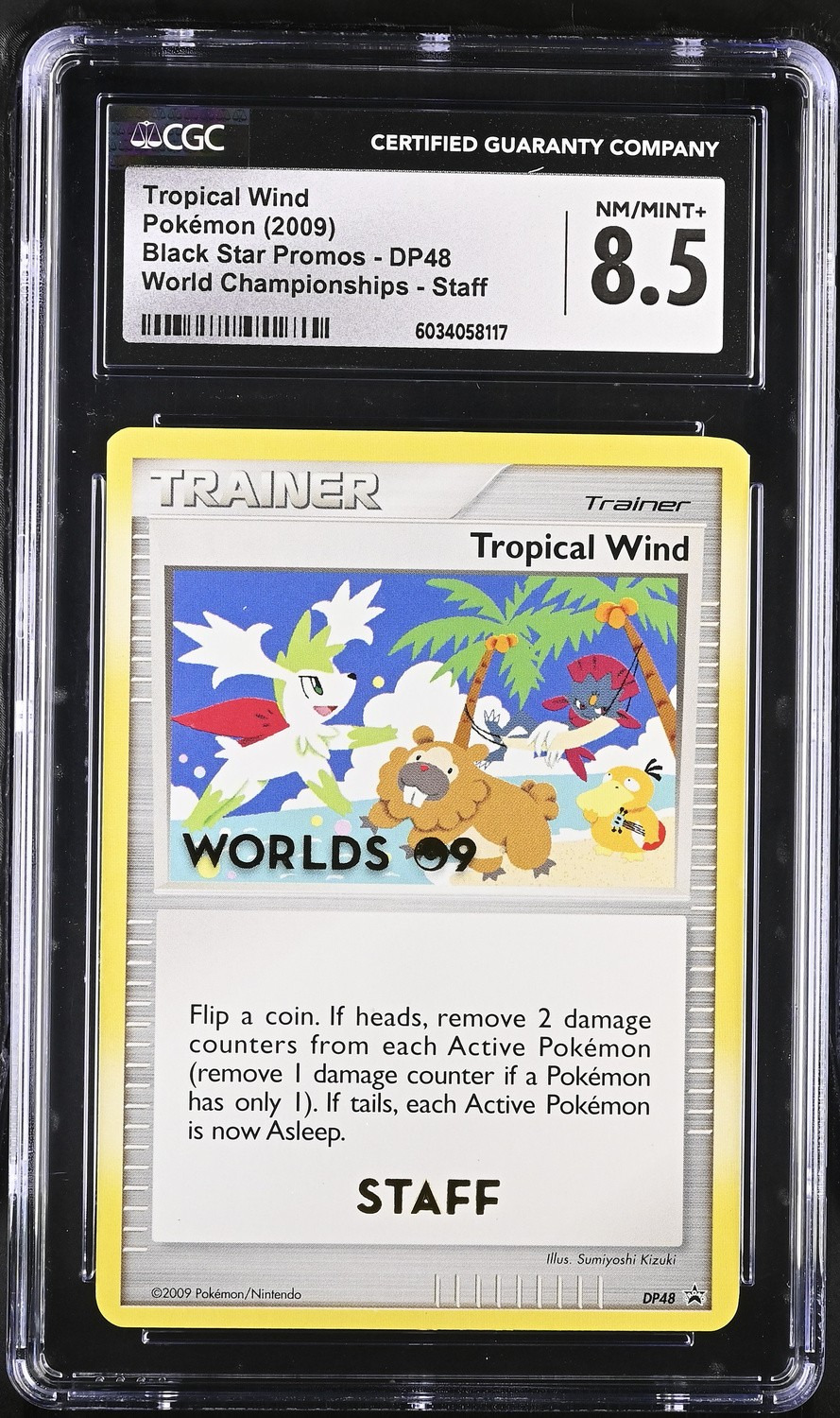 Tropical Wind