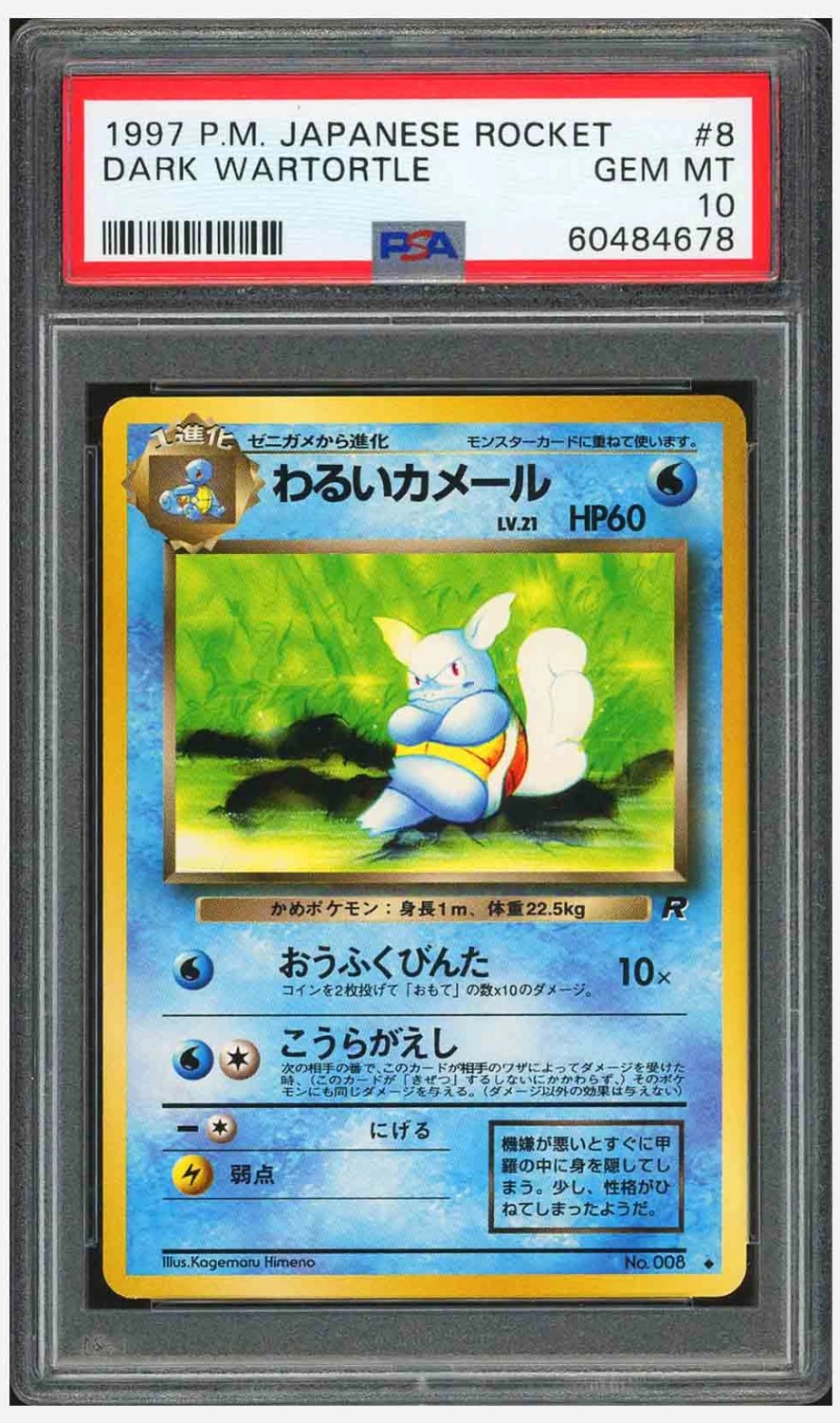 Dark Wartortle