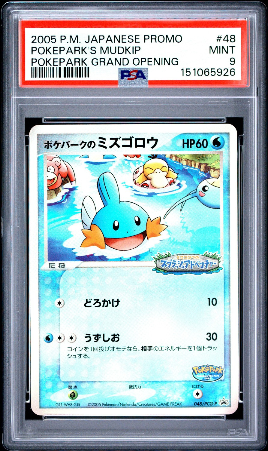 Pokepark's Mudkip