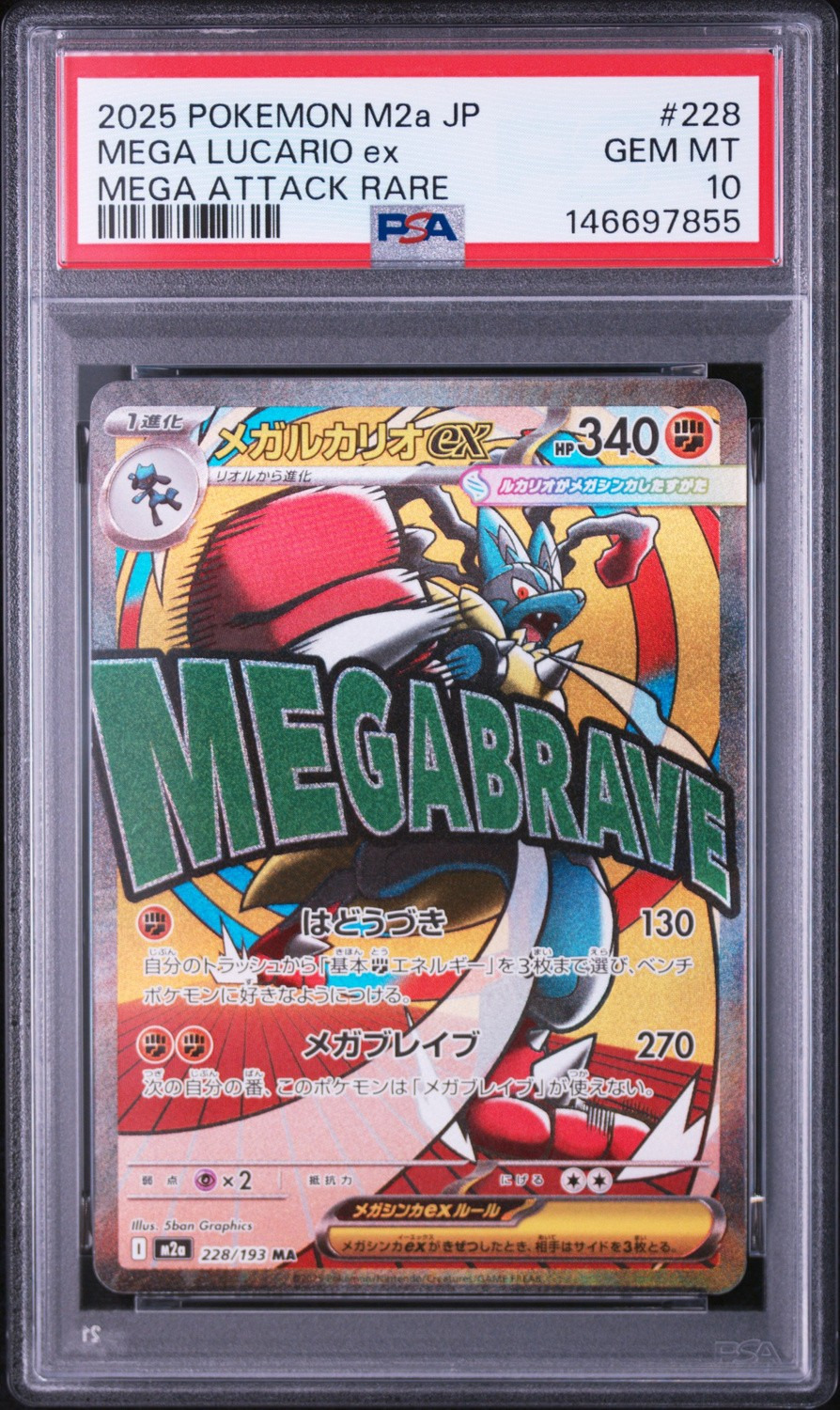 MEGA LUCARIO ex