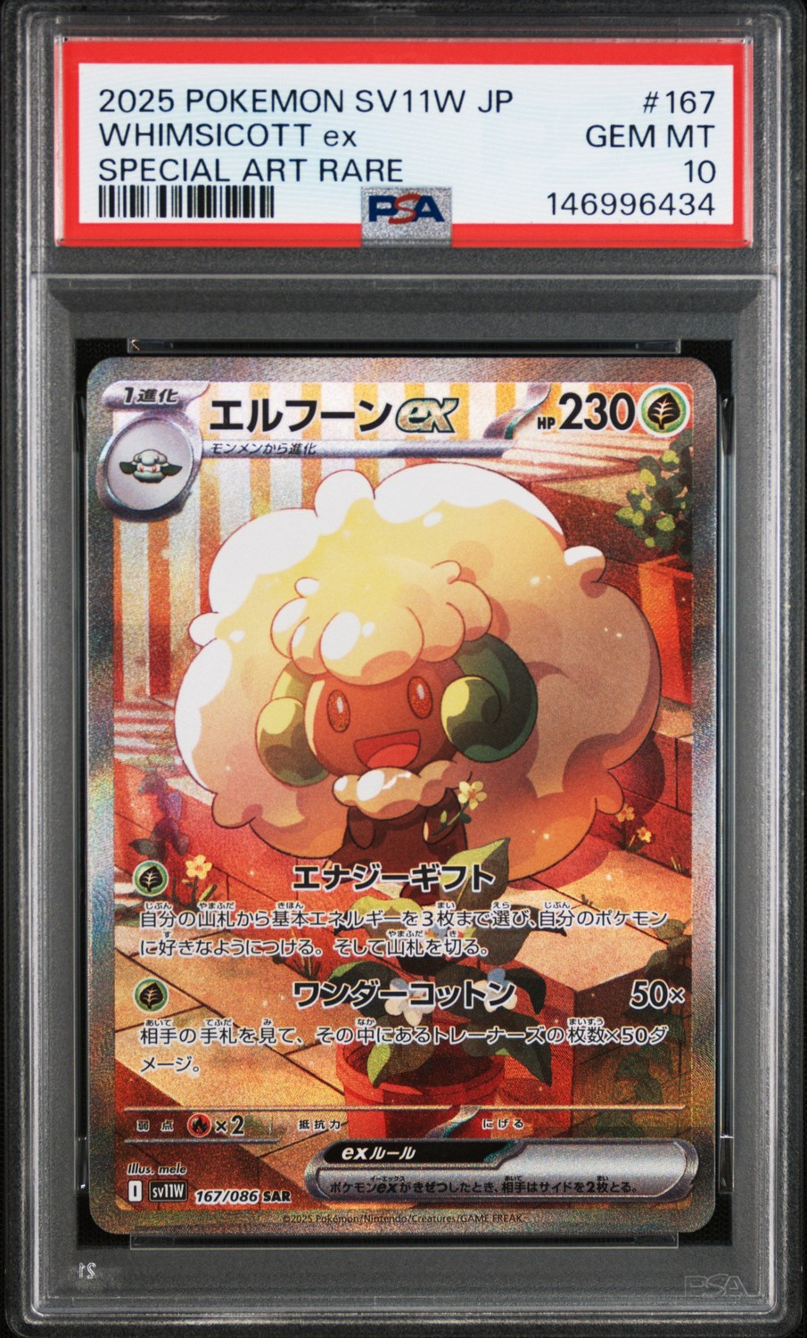 WHIMSICOTT ex
