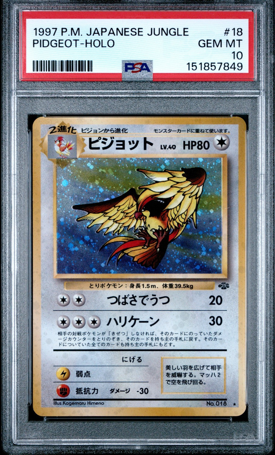 Pidgeot