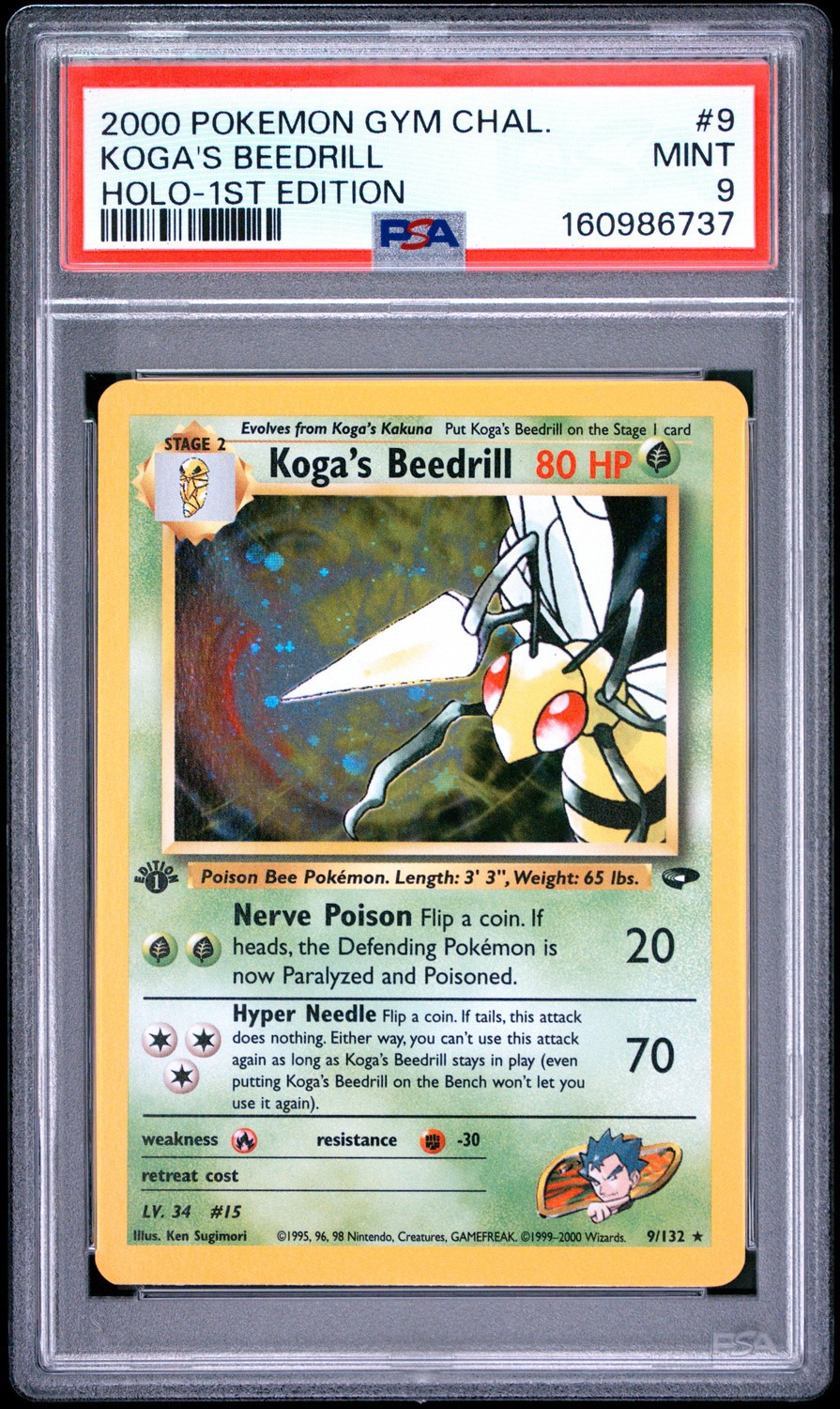 Koga's Beedrill