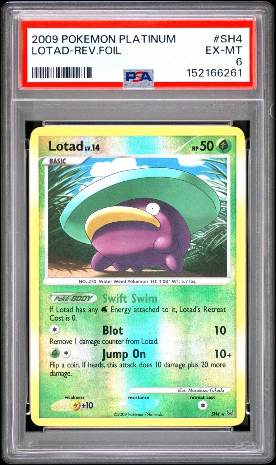 Lotad