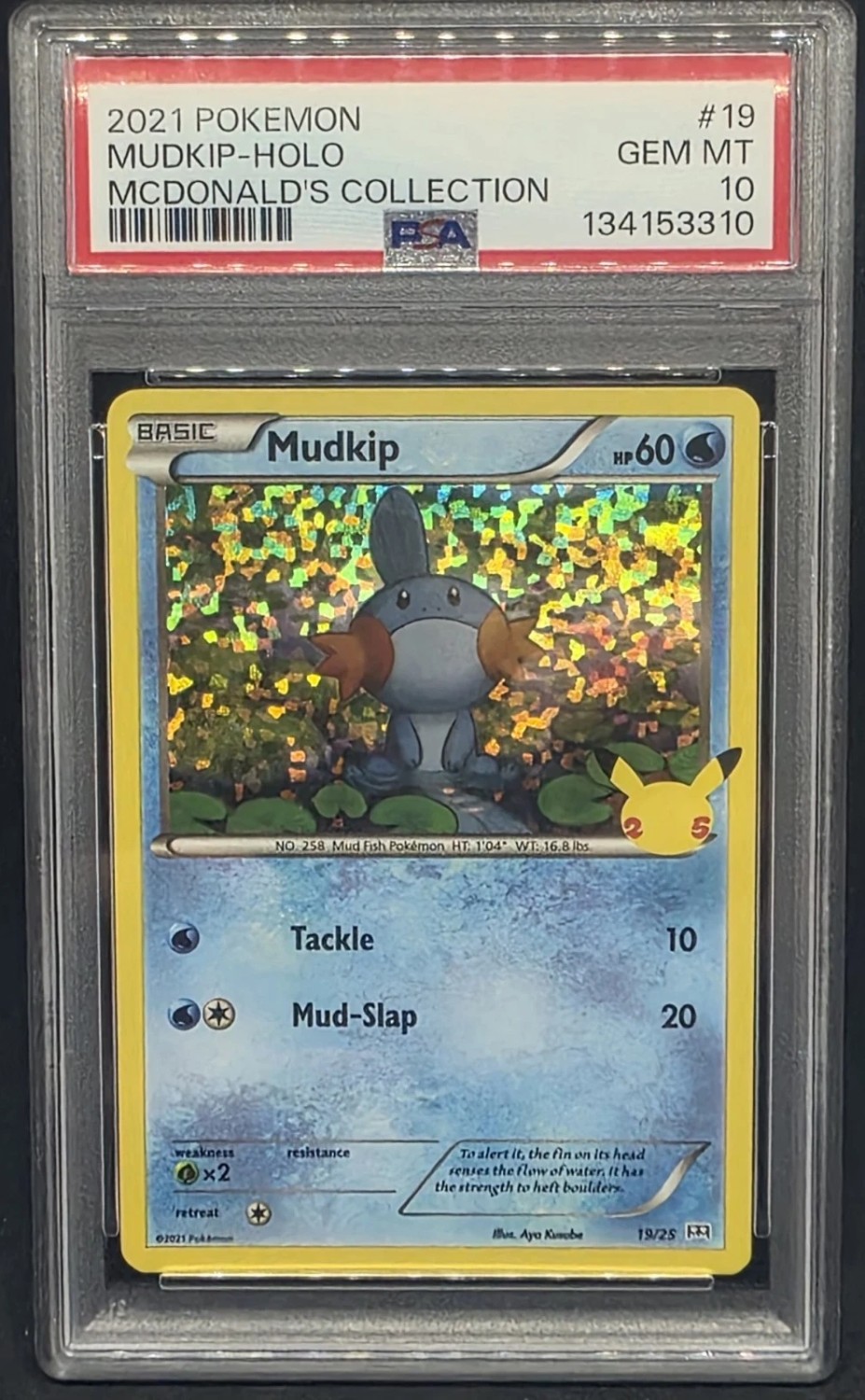 Mudkip