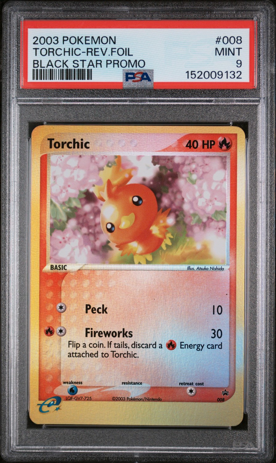 Torchic
