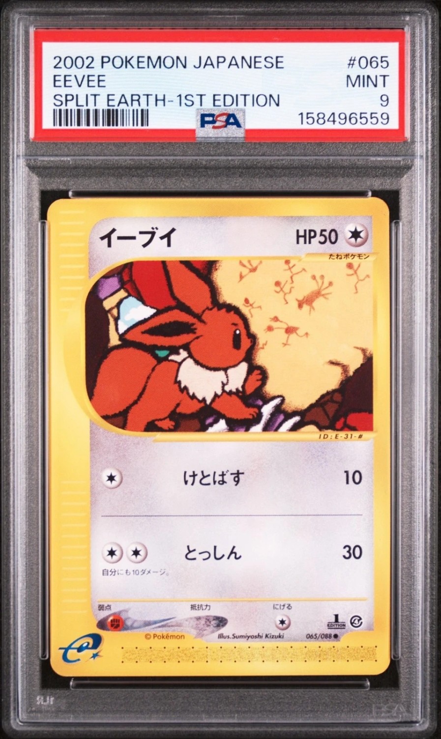 Eevee