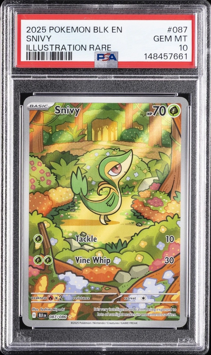 Snivy