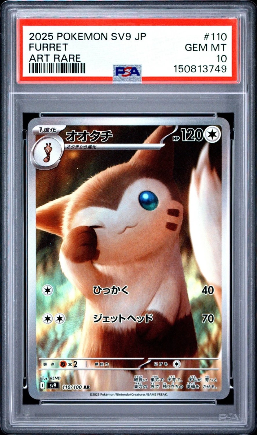 Furret