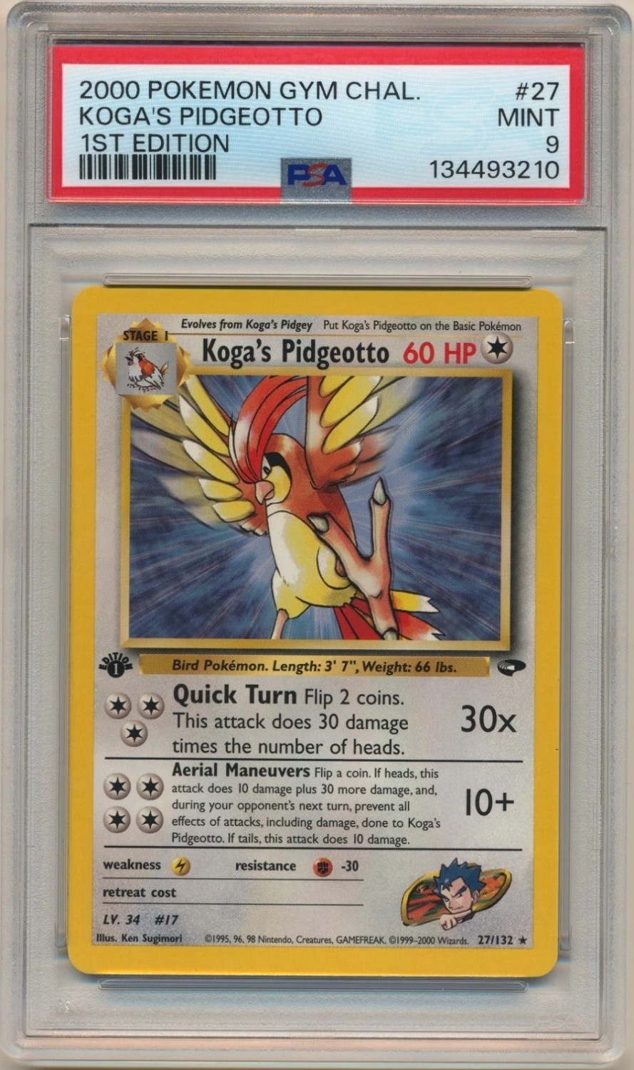 Koga's Pidgeotto