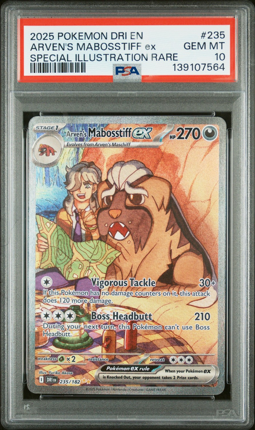 ARVEN'S MABOSSTIFF ex