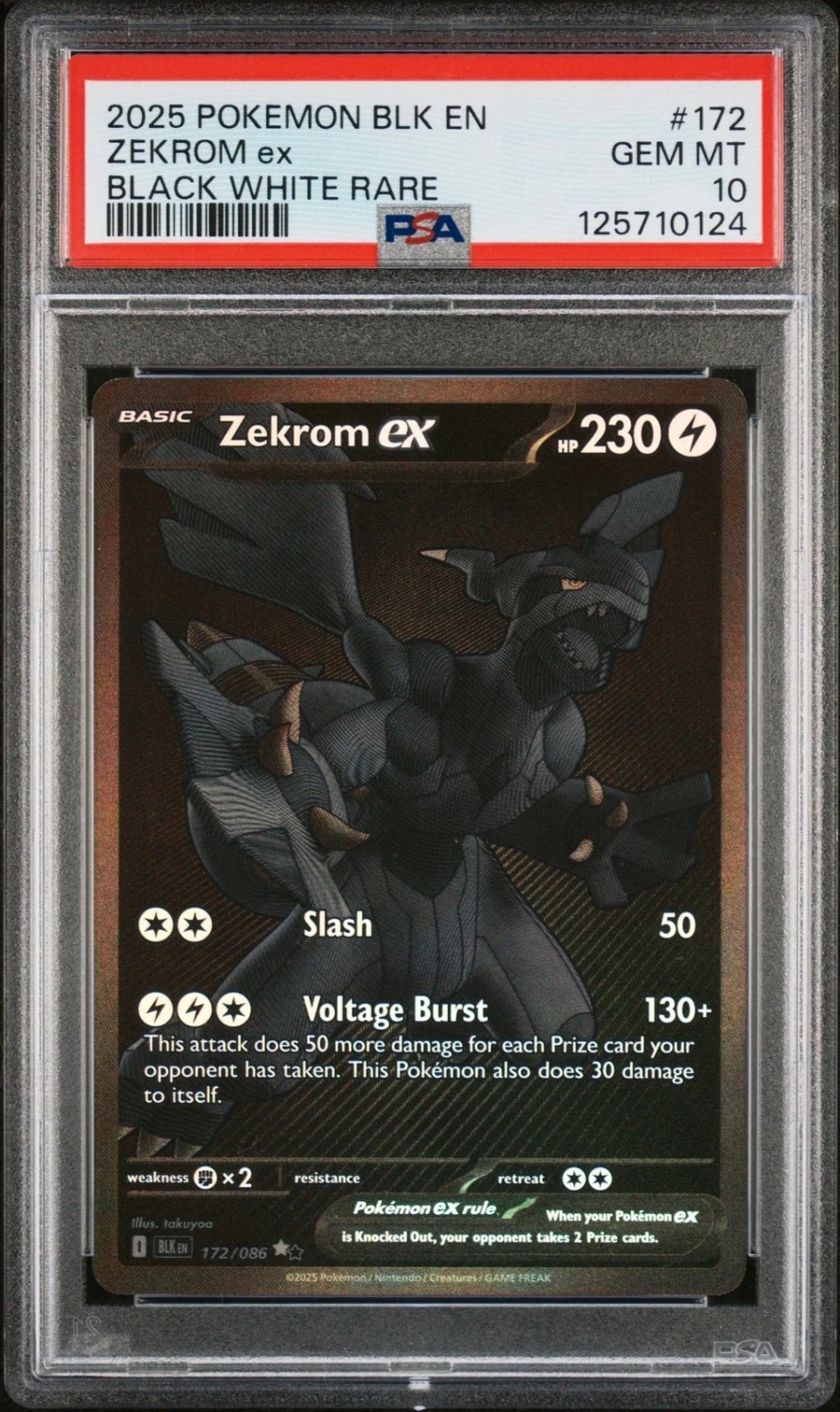 ZEKROM ex