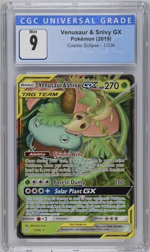 Venusaur & Snivy GX