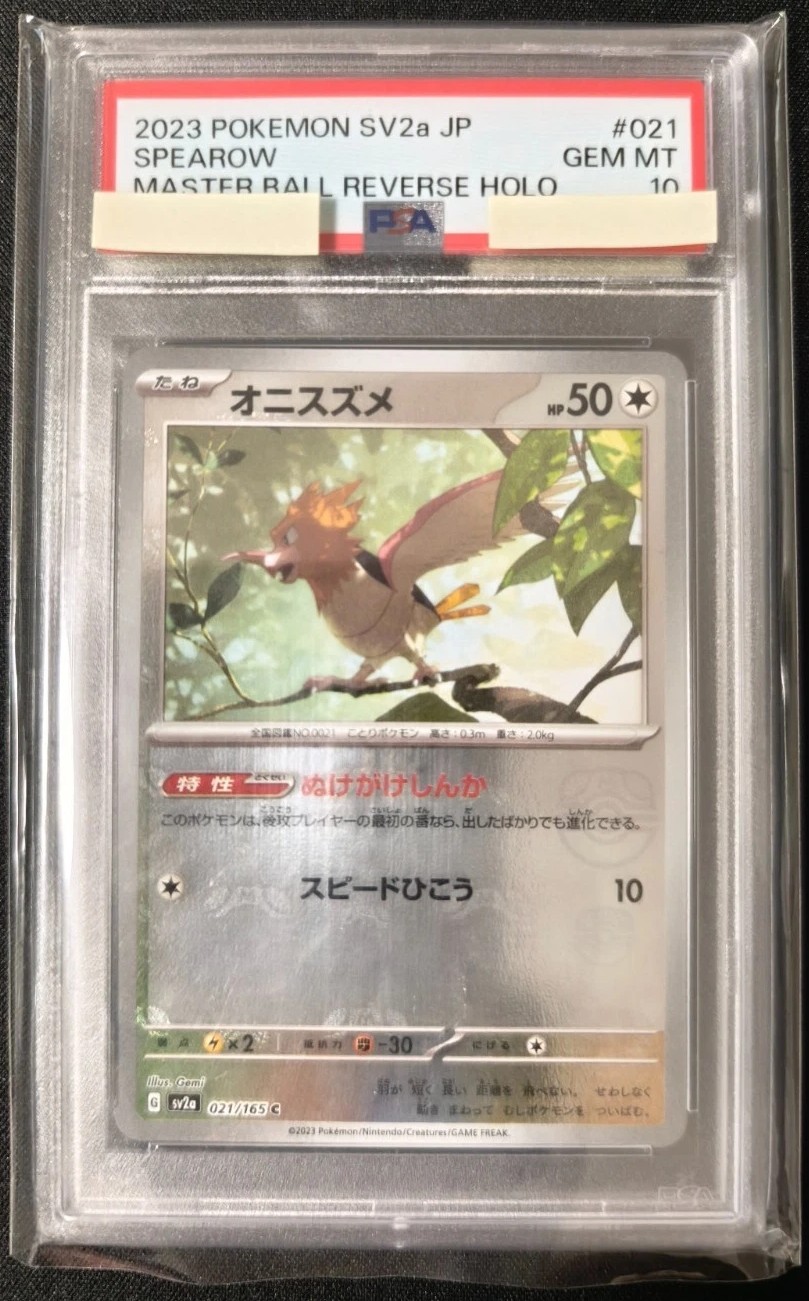 Spearow