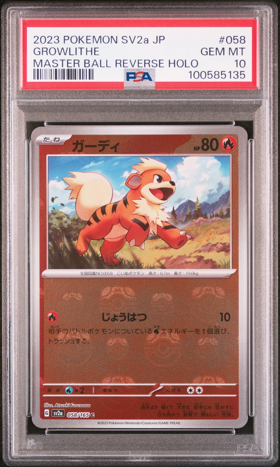 Growlithe C