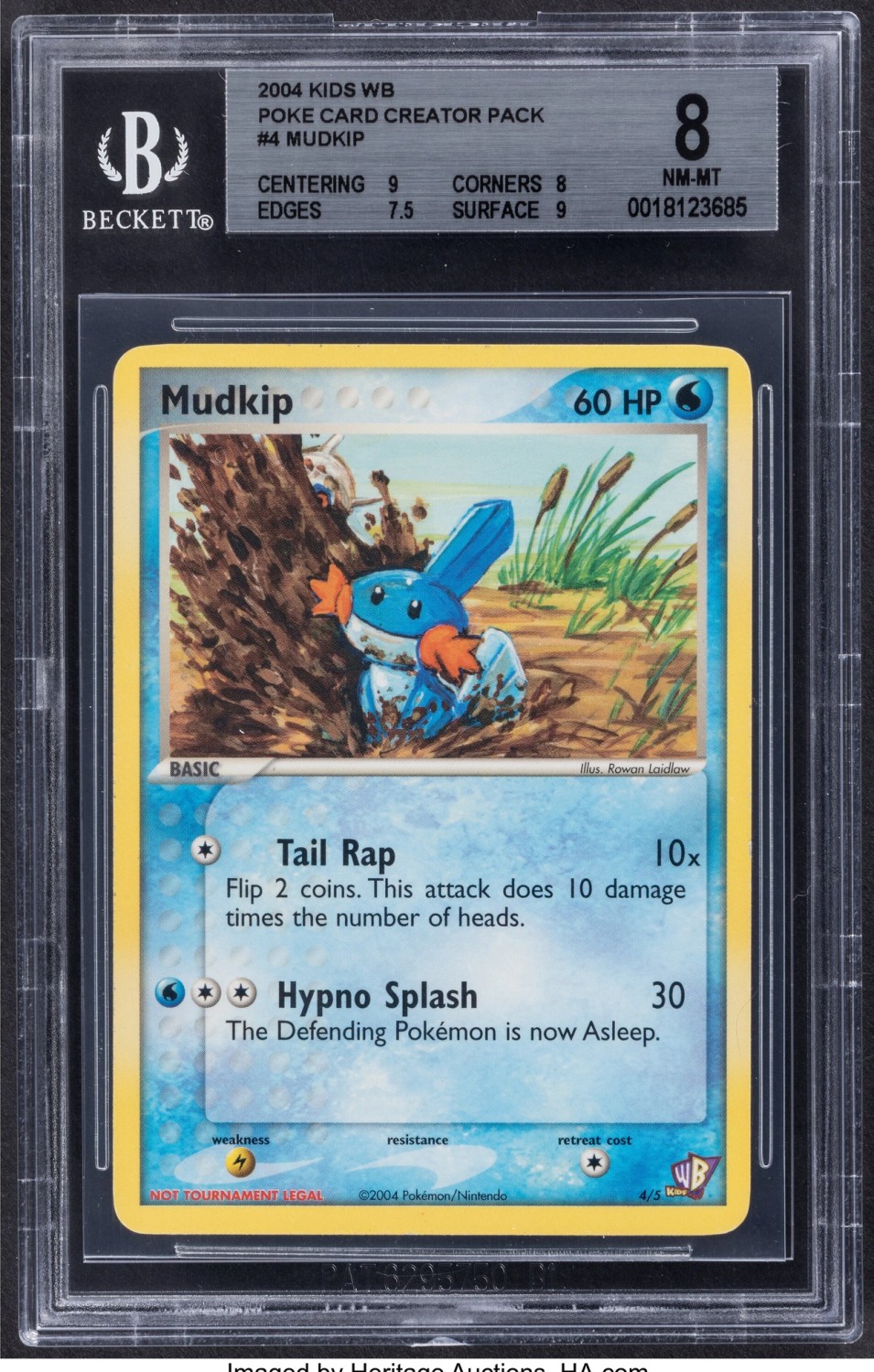 Mudkip
