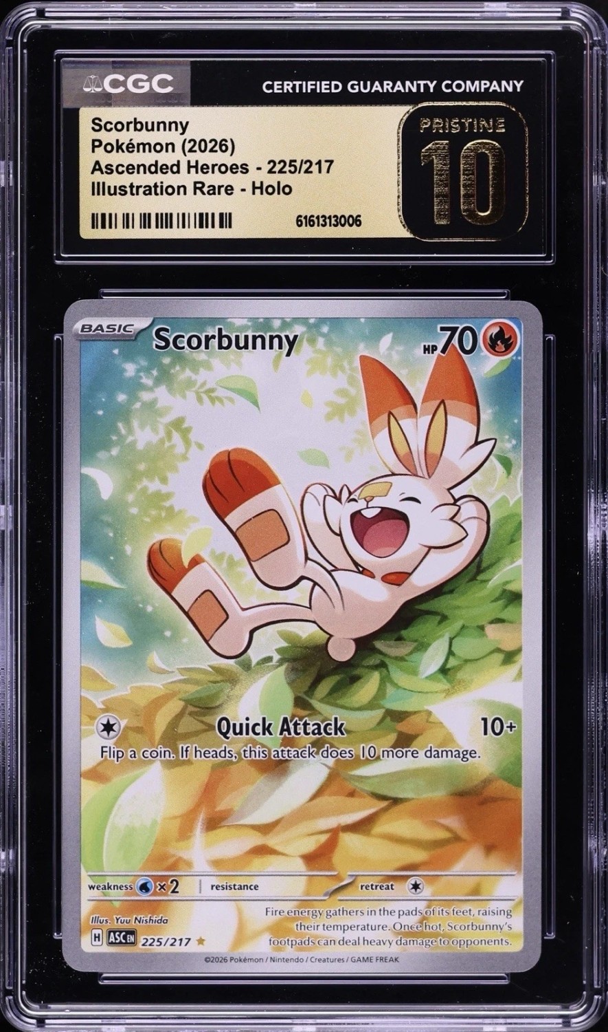 Scorbunny
