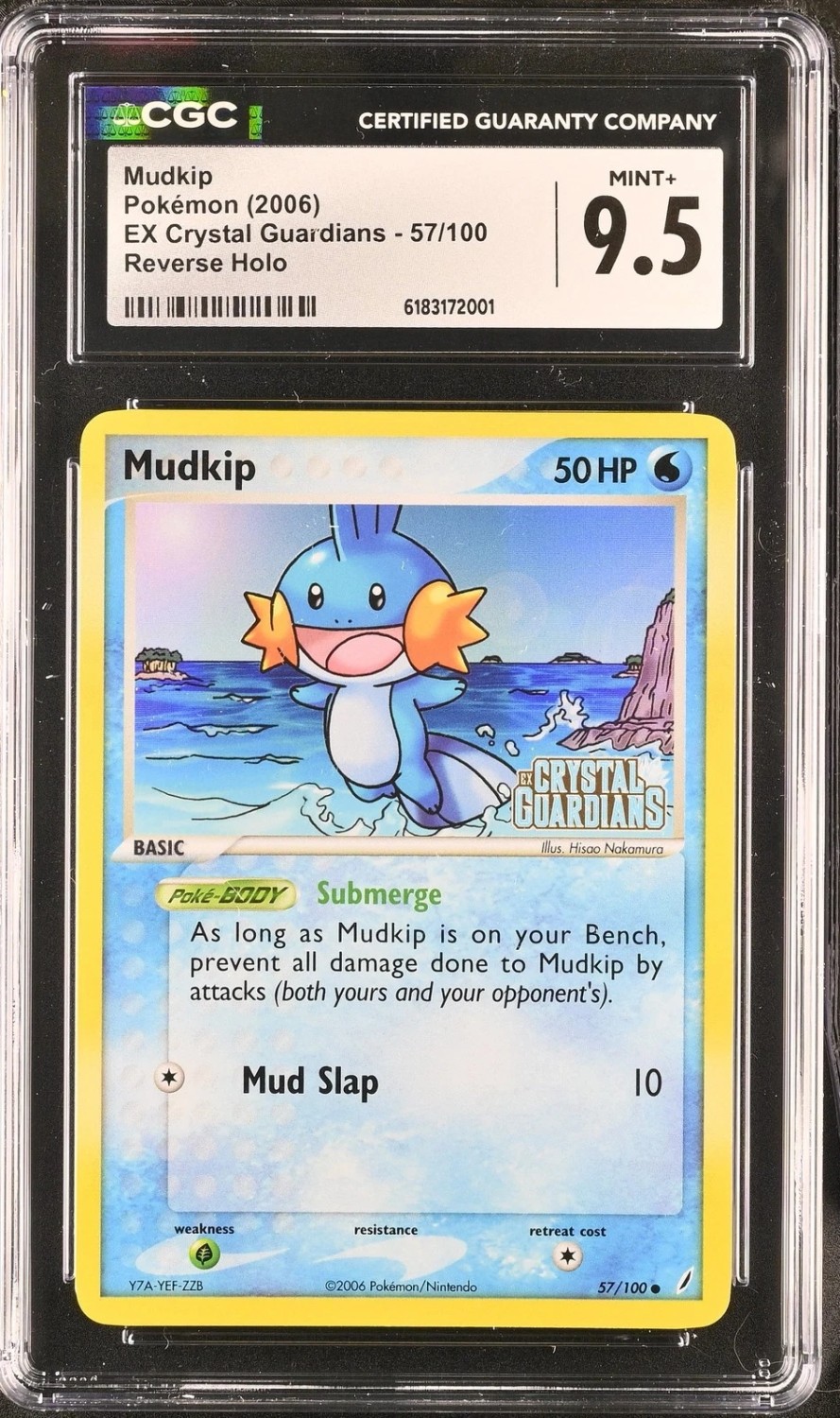 Mudkip