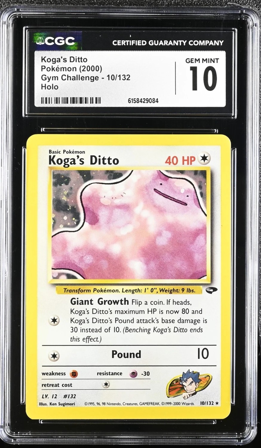 Koga's Ditto