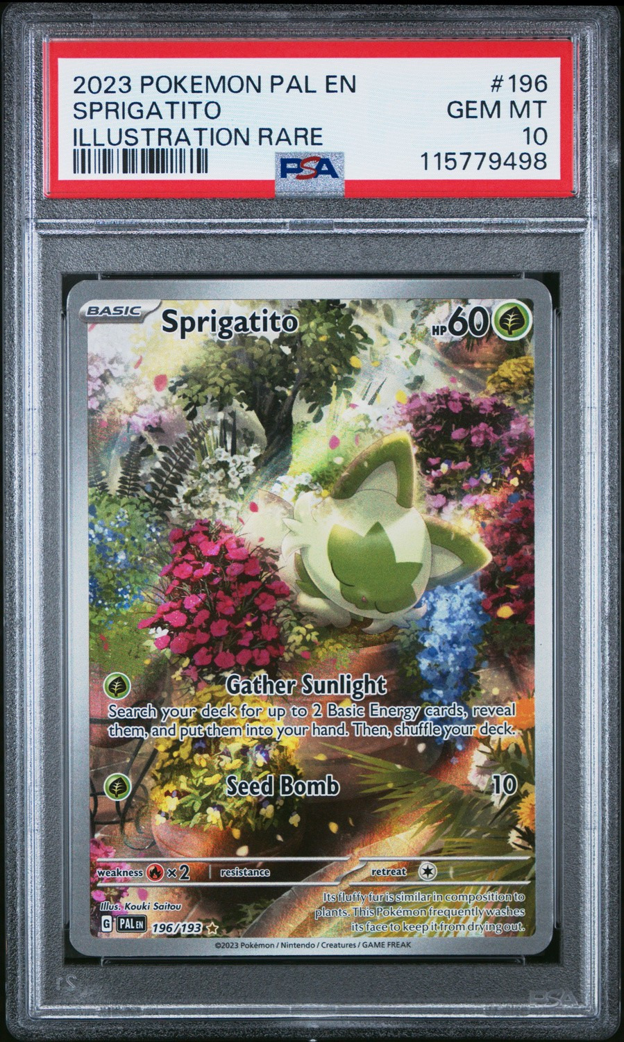 Sprigatito