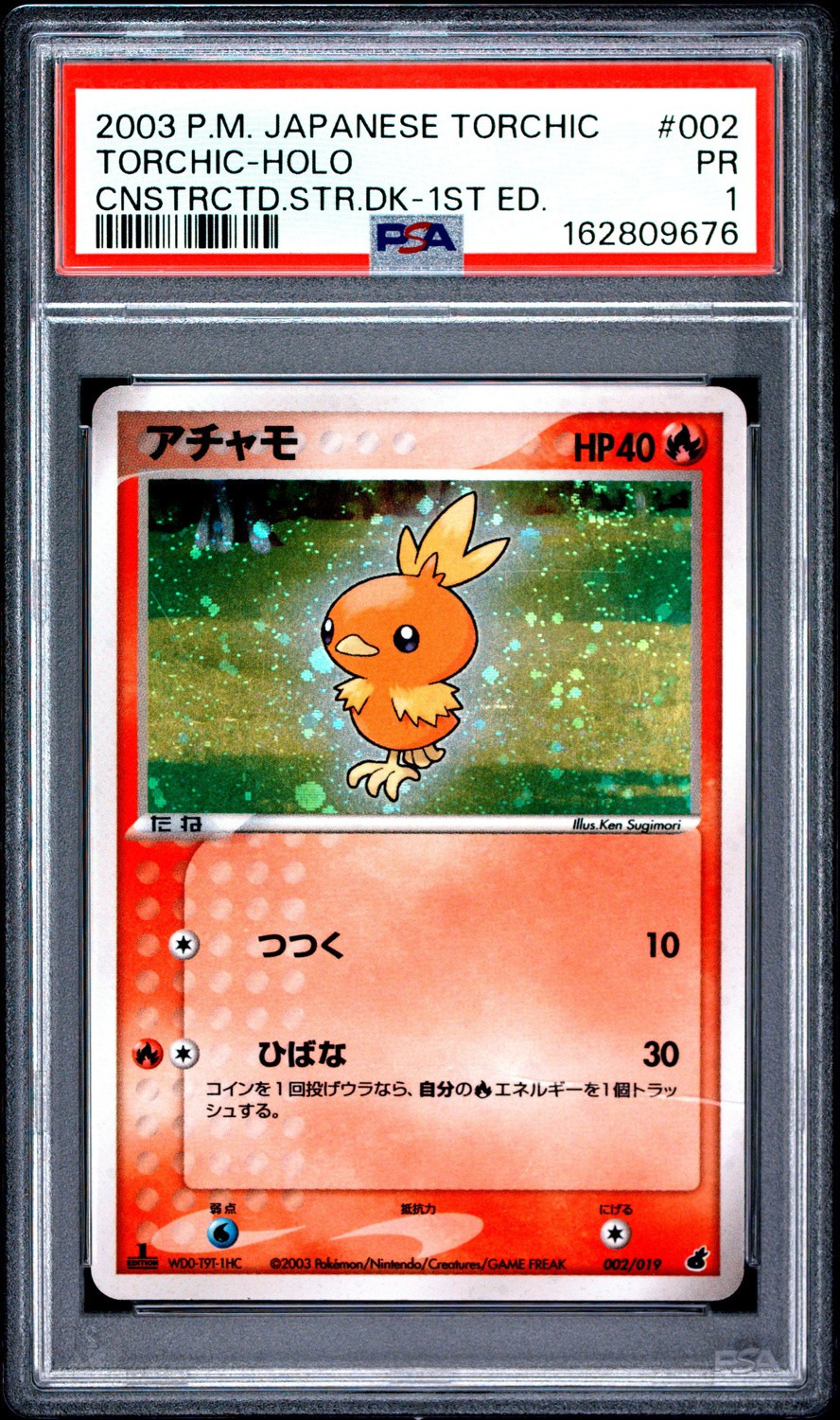 Torchic