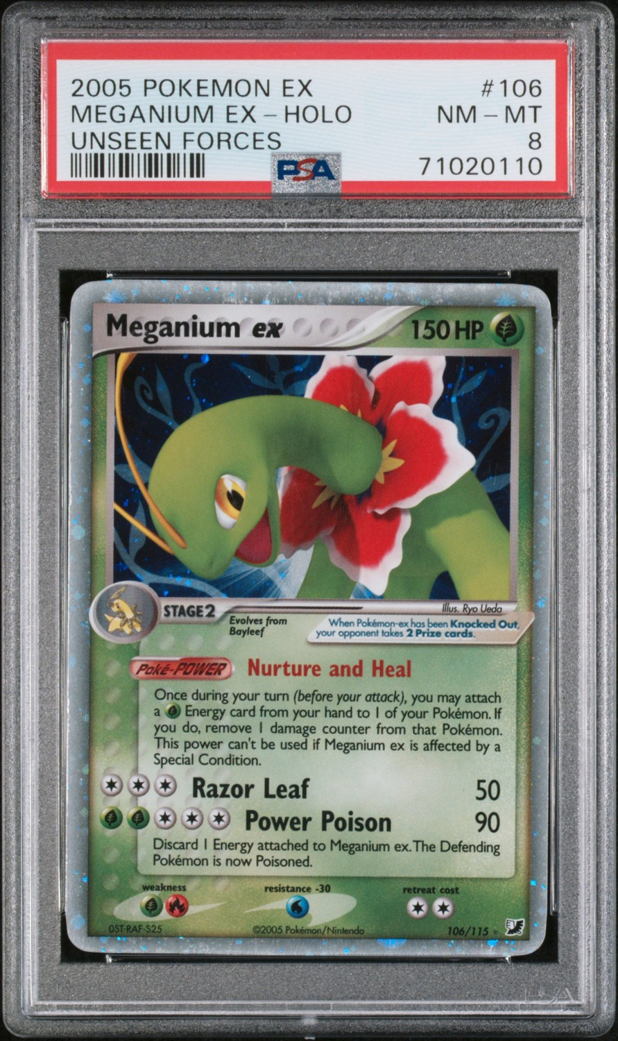 Meganium EX