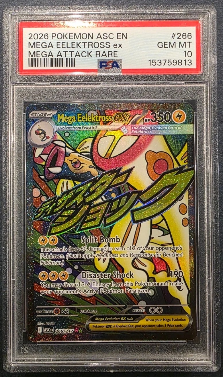 MEGA EELEKTROSS ex