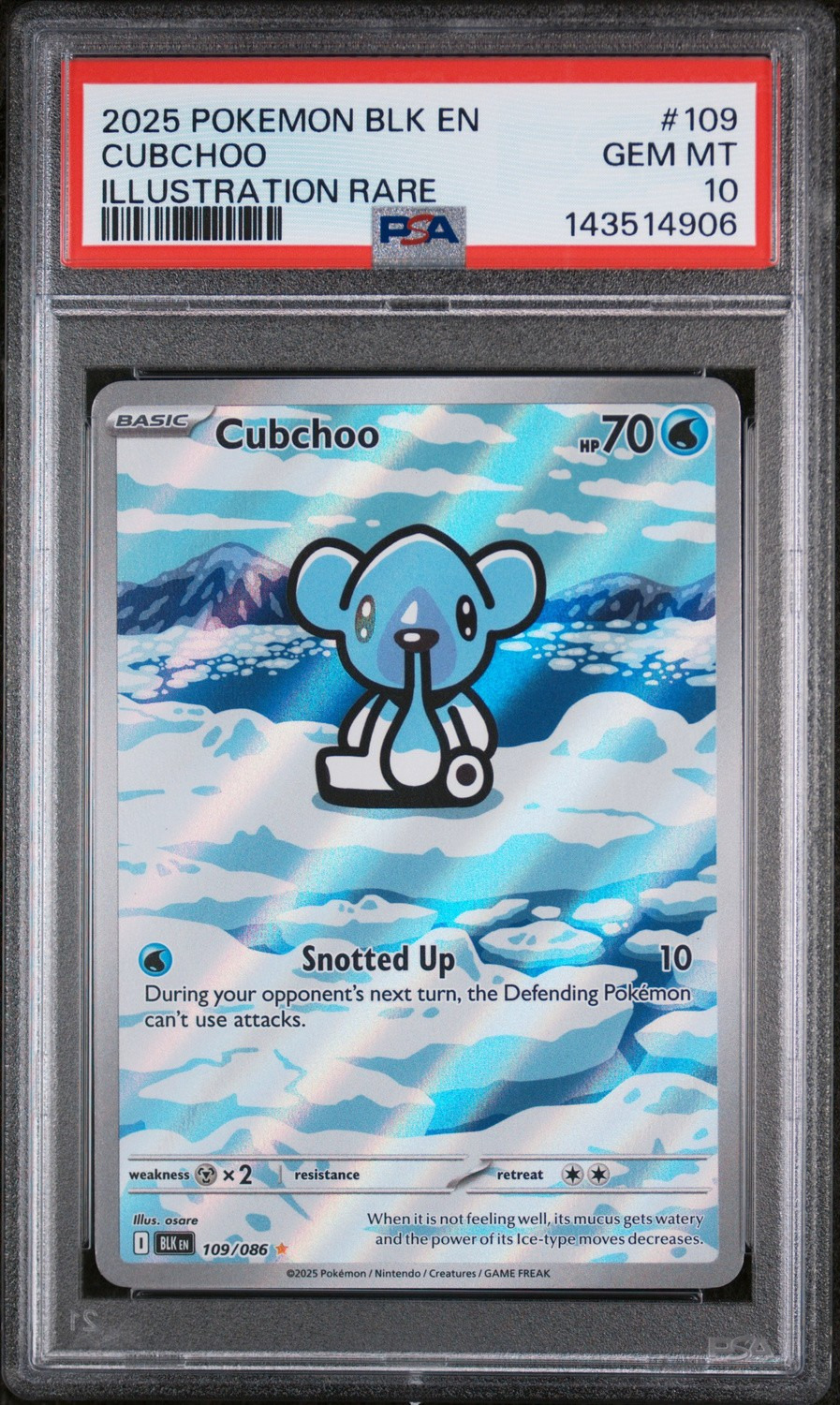 Cubchoo