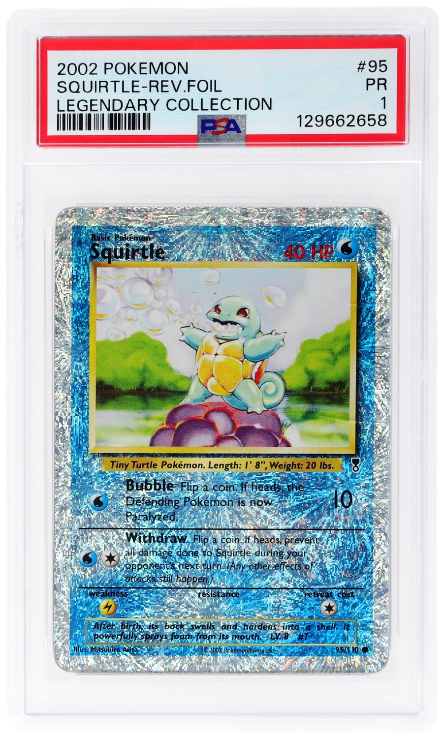 Squirtle C