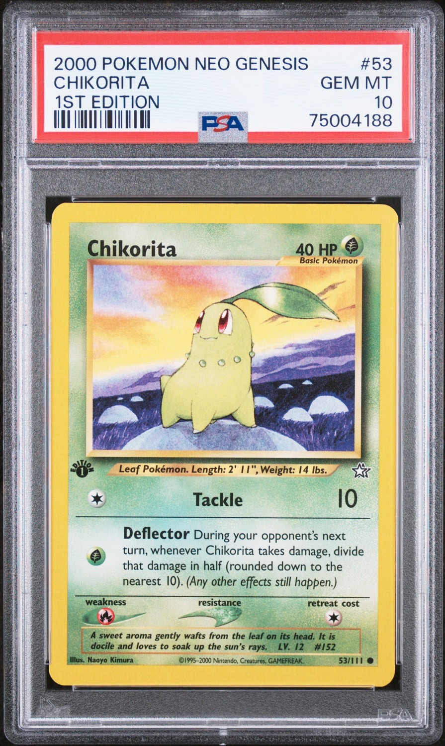 Chikorita