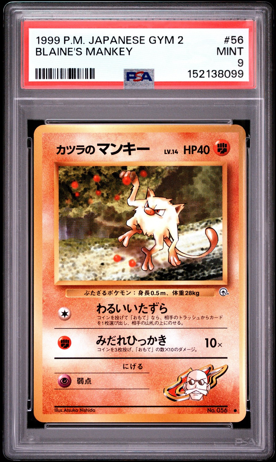 Blaine's Mankey