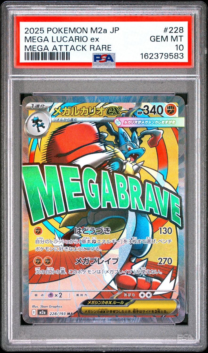 MEGA LUCARIO ex