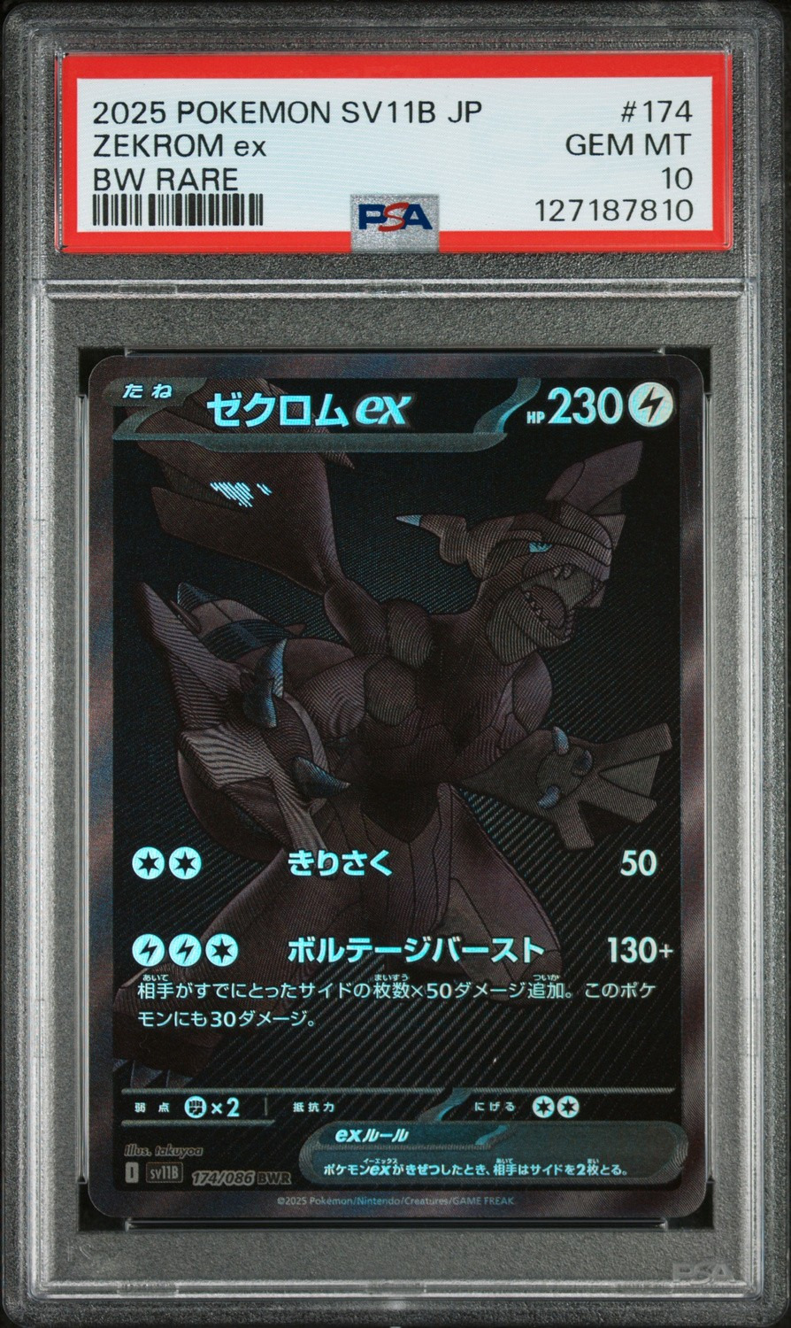 ZEKROM ex