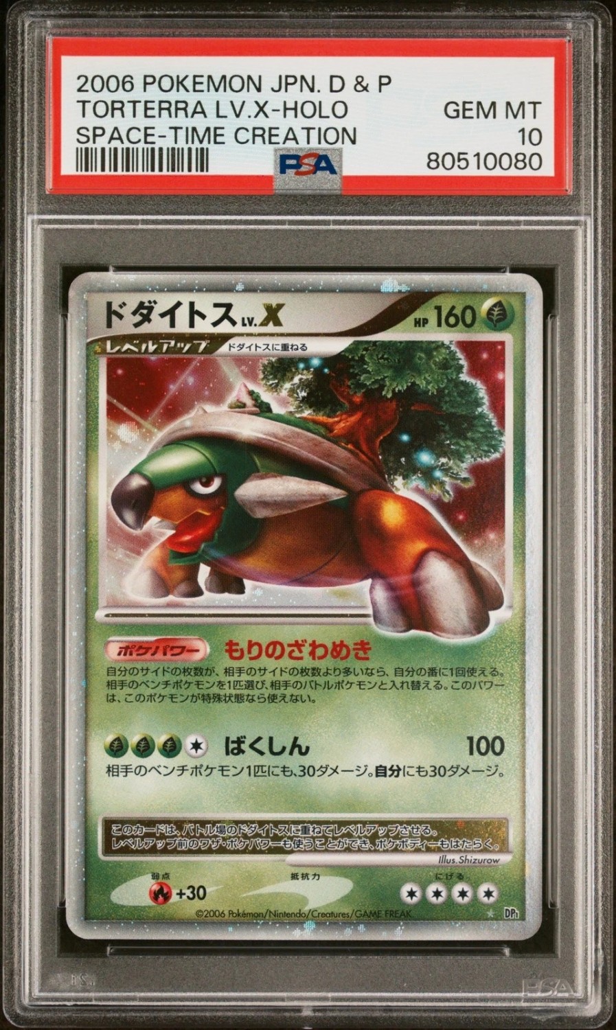 TORTERRA LV.X