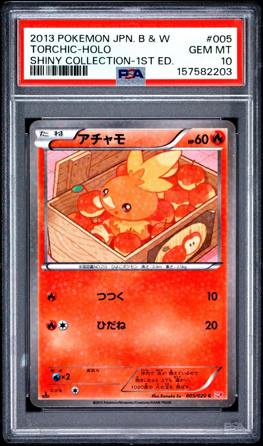 Torchic